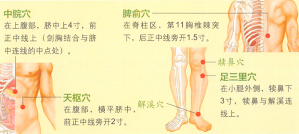 腹泻艾灸哪个部位图解