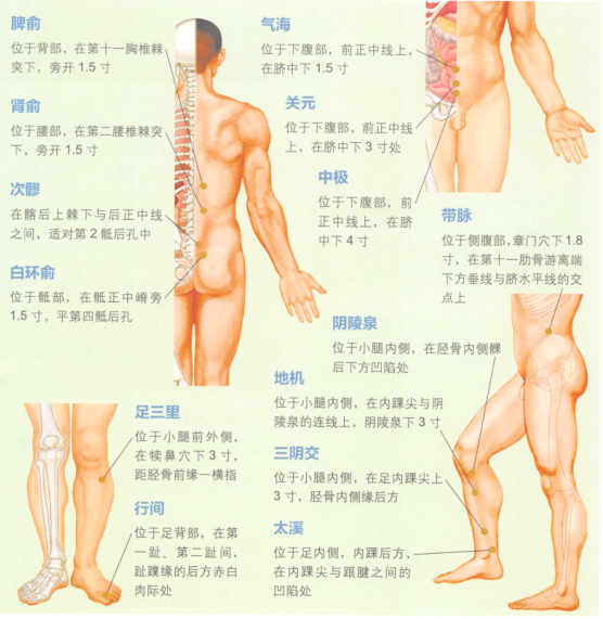 带下病艾灸哪个部位图解