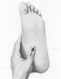 美容美体按摩部位图解