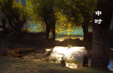 申时15:00~17:00 点