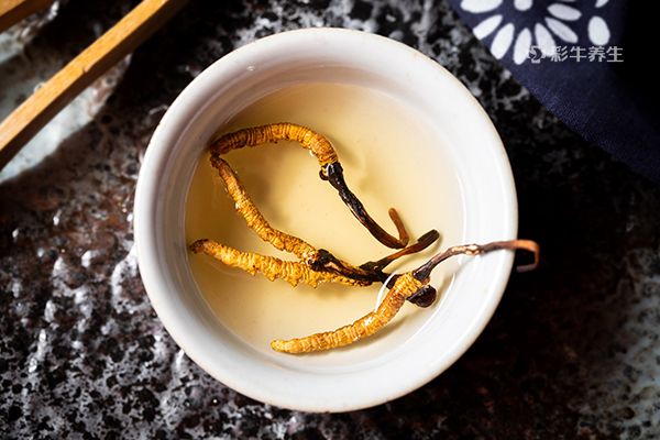 虫草泡酒有什么功效 虫草泡酒喝的好处