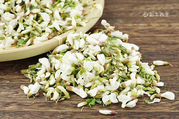 槐花的功效与作用禁忌 槐花的营养价值及注意事项