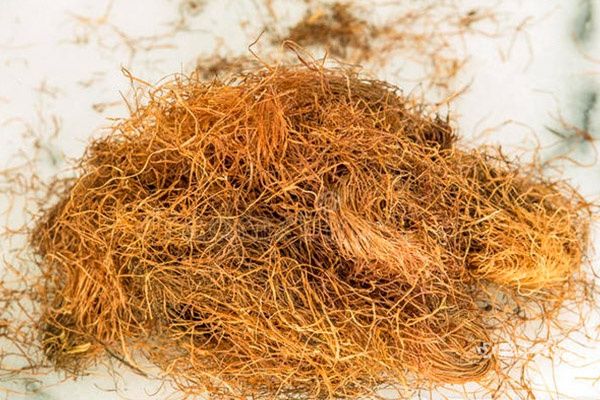 玉米须正确泡水喝 玉米须泡水喝的功效和作用