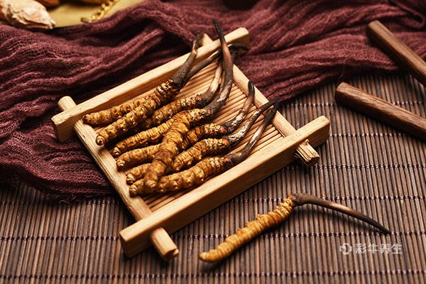 虫草泡水一次几根 虫草泡水喝有什么功效