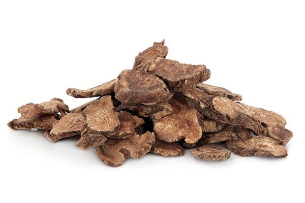 白术泡水喝的功效 白术泡水喝有哪些好处