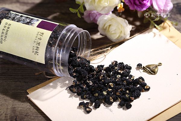 黑枸杞泡水喝的正确方法 黑枸杞泡水喝的好处