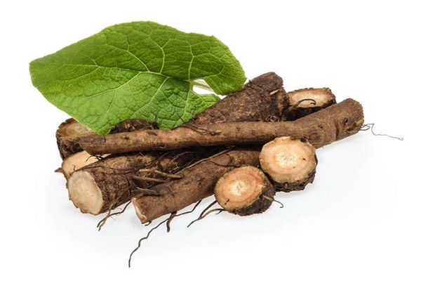 牛蒡根泡水功效与作用 牛蒡根泡水喝的好处