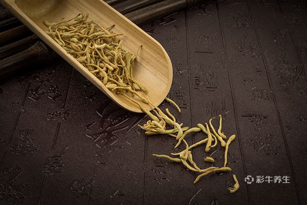 金银花一般泡几根 金银花泡水的功效与作用