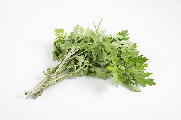 艾叶泡脚治月子病吗 艾叶泡脚的功效与作用