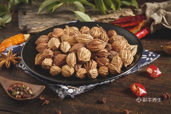 砂仁的功效与作用禁忌 砂仁的药用价值及注意事项