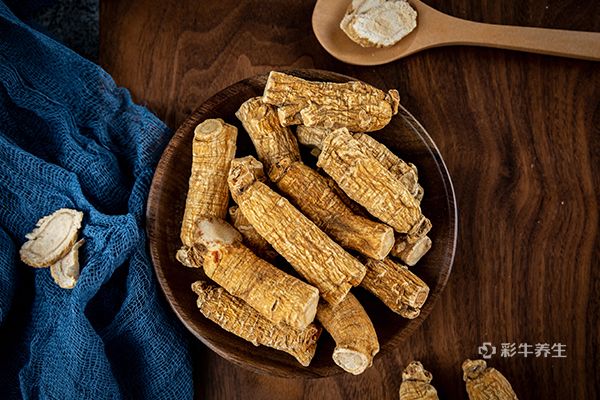 黄芪和西洋参能一起泡水喝吗  西洋参和黄芪泡水的功效与作用