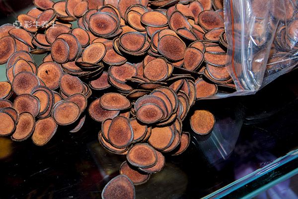 鲜鹿茸泡酒前怎么处理 鹿茸泡酒的功效与作用