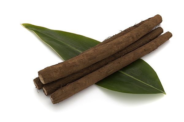 牛蒡根泡水功效与作用 牛蒡根泡水喝的好处