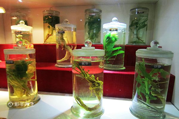 药酒泡多久能喝 泡药酒的注意事项