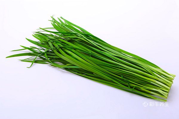 男人吃韭菜的好处 男人吃韭菜的功效与作用