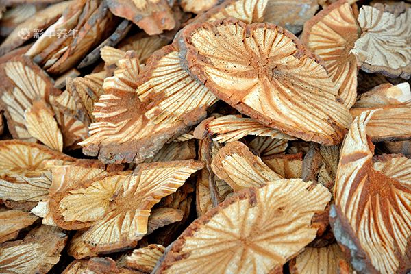 血藤泡酒的功效和作用 血藤泡酒的好处