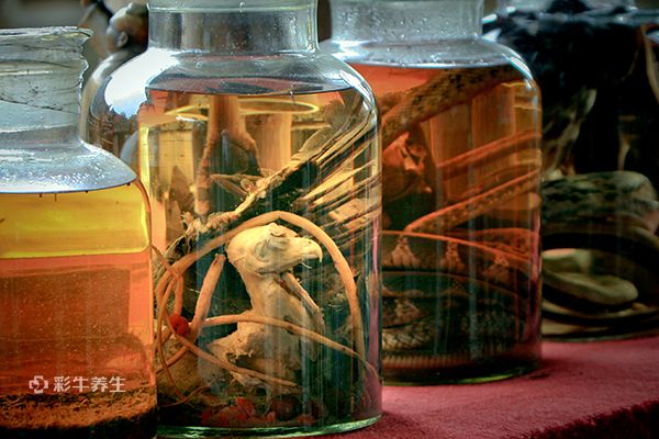 药酒泡多久能喝 泡药酒的注意事项