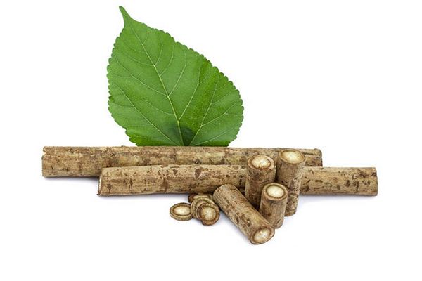 牛蒡根泡水功效与作用 牛蒡根泡水喝的好处