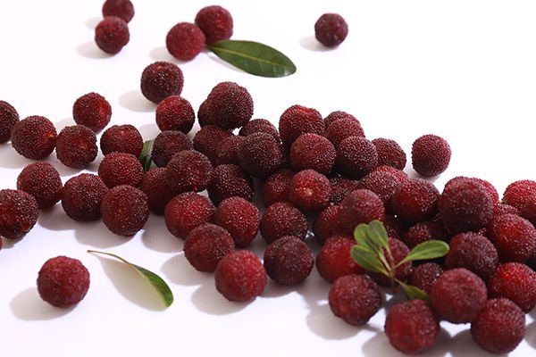 女人吃杨梅有什么好处 女人吃杨梅的功效与作用