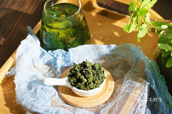 桑叶泡水喝的7大功效 桑叶泡水喝有哪些好处