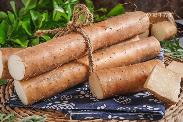 十个月的宝宝吃什么辅食好 适合十个月宝宝吃的辅食