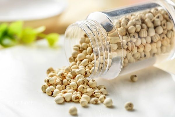 川贝的功效与作用禁忌 川贝的药用价值与注意事项