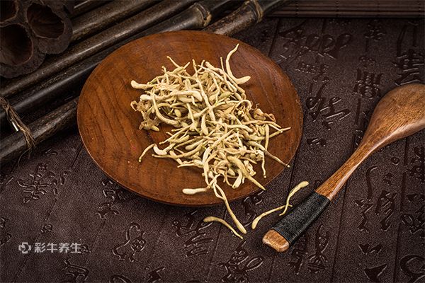 金银花和菊花可以一起泡水喝吗 菊花金银花茶的功效与作用