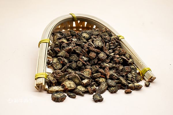 丹参怎样泡水喝 丹参泡水喝的功效作用