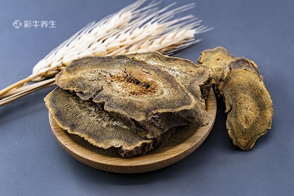 大黄泡水喝有什么功效 大黄泡水喝的好处