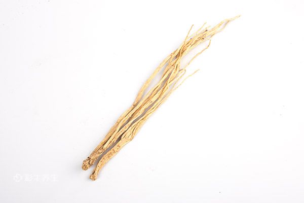 党参泡水喝的功效 党参泡水喝有哪些好处