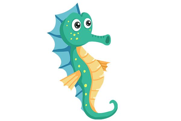 海马泡酒有什么功效 海马泡酒的药用价值