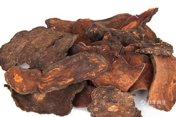 何首乌的功效与作用及食用方法 何首乌的好处与吃法