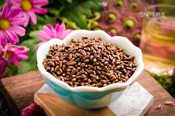 决明子一次泡多少粒 决明子泡水喝的功效和作用