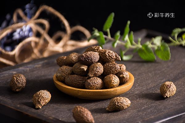 胖大海怎么泡 胖大海泡水喝的功效和作用