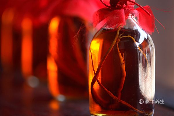 泡药酒用多少度的白酒好 泡药酒用什么药材好