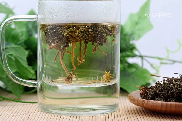 人参花怎么泡水喝正确 人参花泡水喝的功效和作用