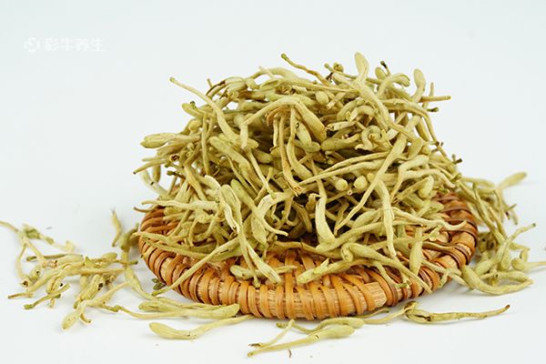 金银花一般泡几根 金银花泡水的功效与作用