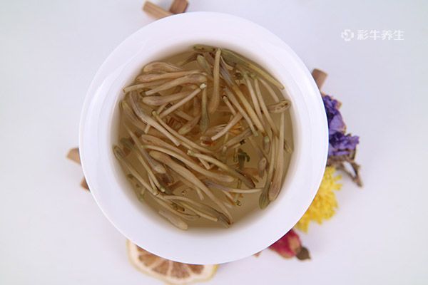 金银花怎么泡水喝 金银花泡水喝的功效和作用