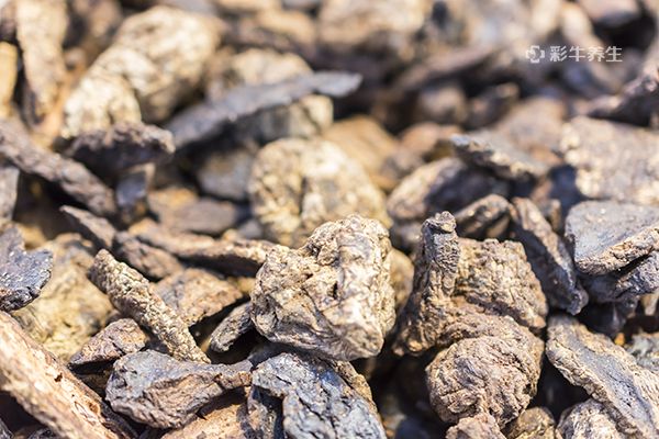 生地的功效与作用禁忌 生地的药用价值与注意事项