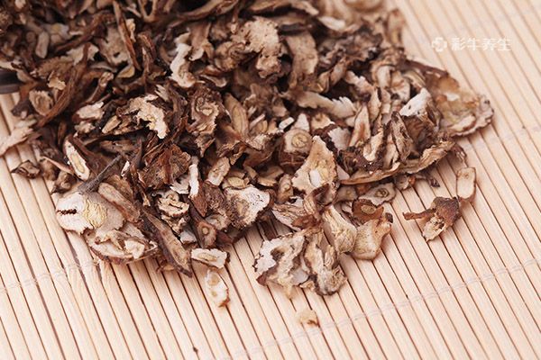 蒲公英泡脚的功效与作用 蒲公英泡脚的好处