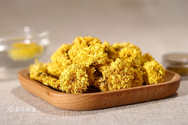 金银花和菊花可以一起泡水喝吗 菊花金银花茶的功效与作用