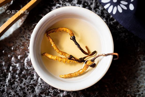 虫草泡水喝有什么功效 虫草泡水喝的好处