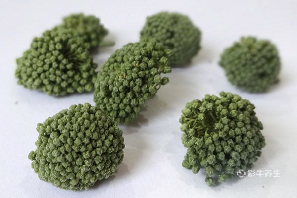 三七花泡茶喝正确吃法 三七花泡水喝的功效