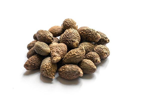 胖大海和金银花泡水喝的功效 胖大海金银花茶的好处