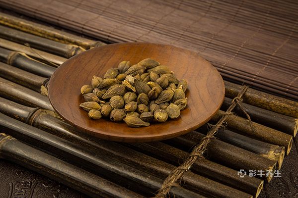 苍耳子泡水喝正确方法 苍耳子泡水喝的功效