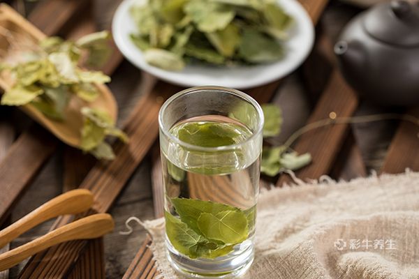 淫羊藿的功效与作用及食用方法 淫羊藿的好处及吃法