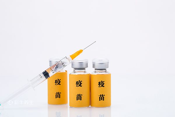 四价和九价的区别 四价和九价有什么不同