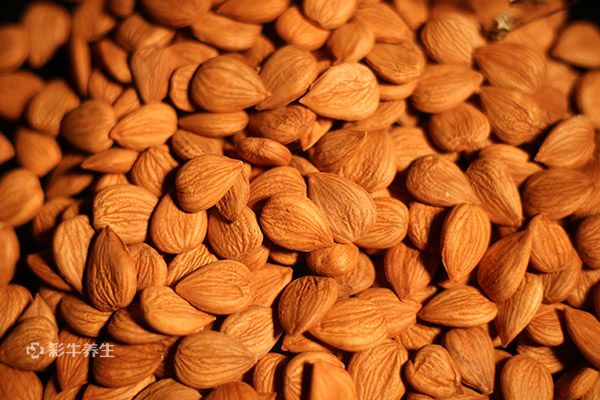女人吃杏仁的好处 女人吃杏仁有什么功效