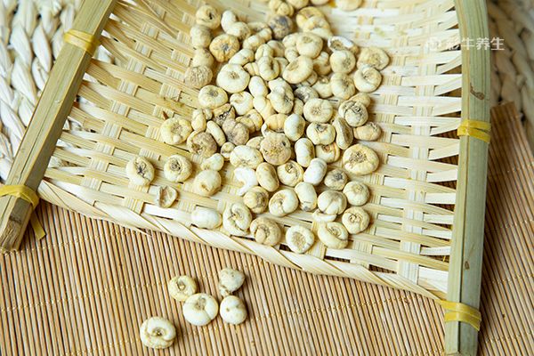 川贝的功效与作用禁忌 川贝的药用价值与注意事项