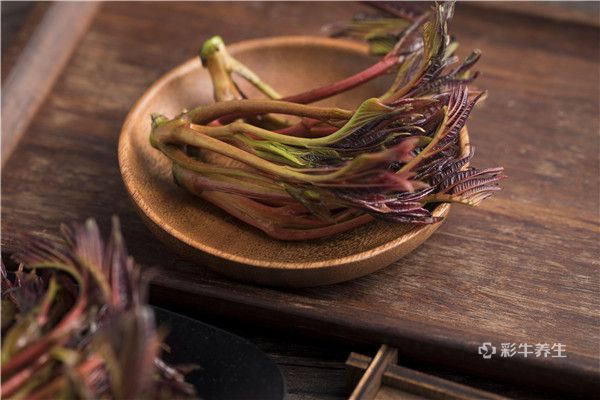 哺乳期可以吃香椿吗 香椿的功效与作用